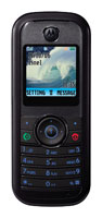 Motorola W205