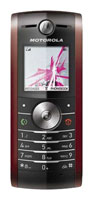 Motorola W208